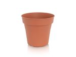 Camelie květináč 14 cm terakota